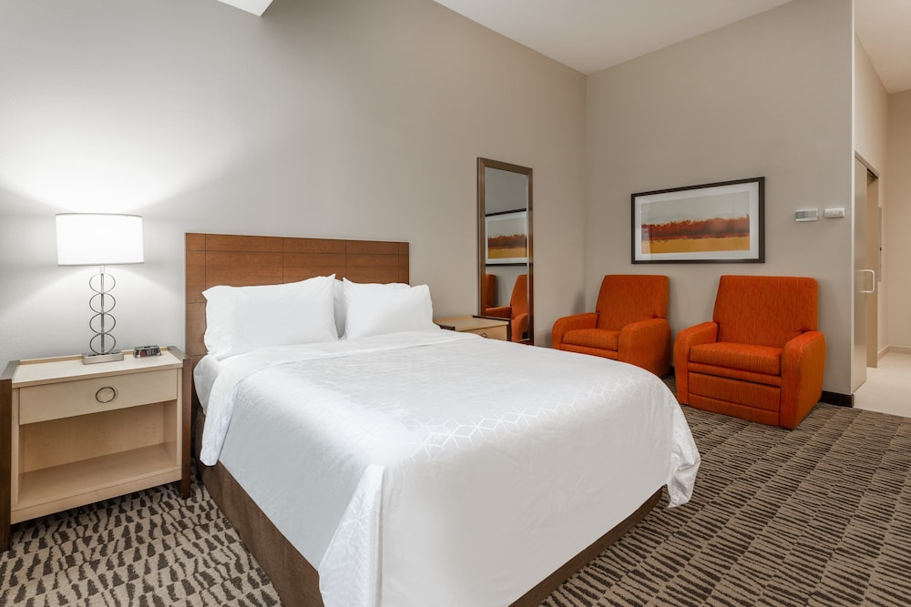 Studio Suite, 1 Queen Bed, Accessible (Roll-In Shower) photo 3