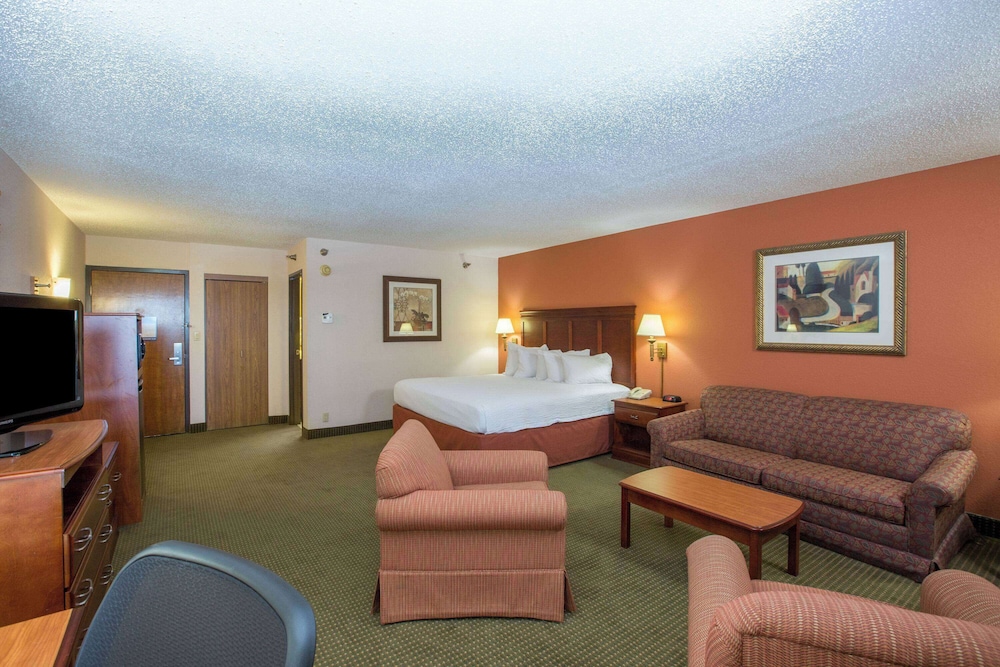 Studio Suite, 1 King Bed, Non Smoking - Photo 7