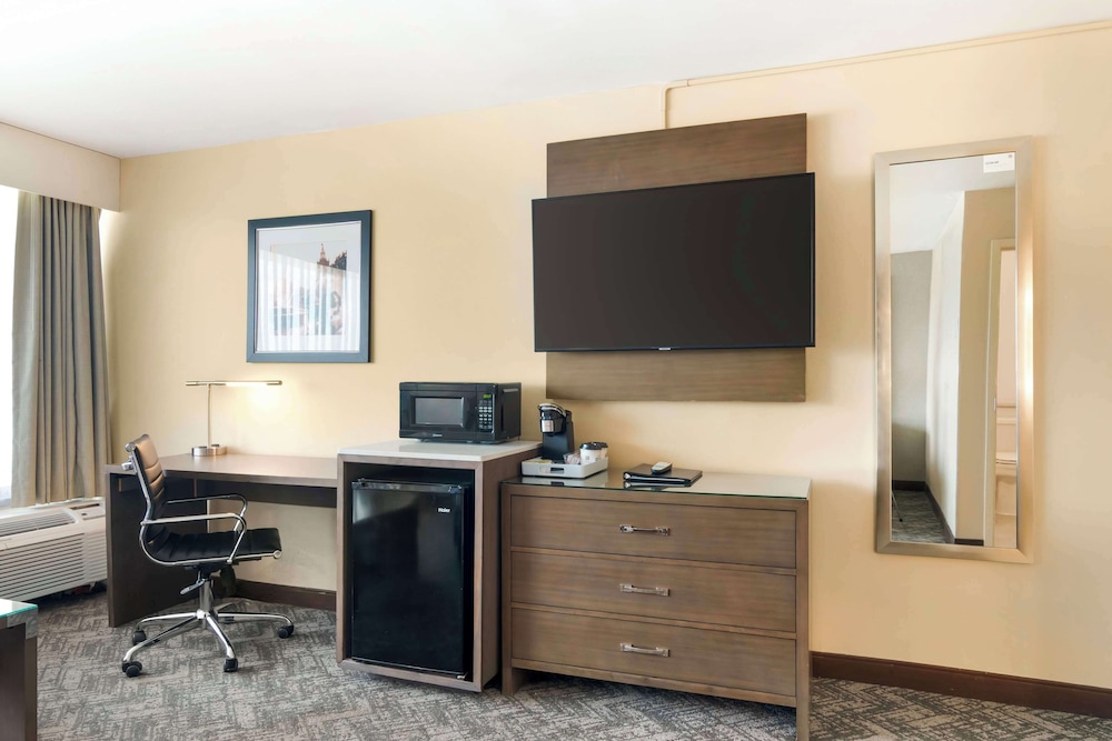 Standard Room, 1 King Bed, Non Smoking, Refrigerator (with Sofabed) photo 2