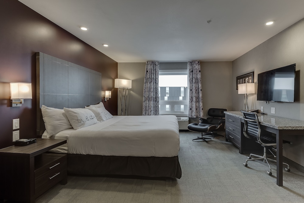 Business Room, 1 King Bed photo 3