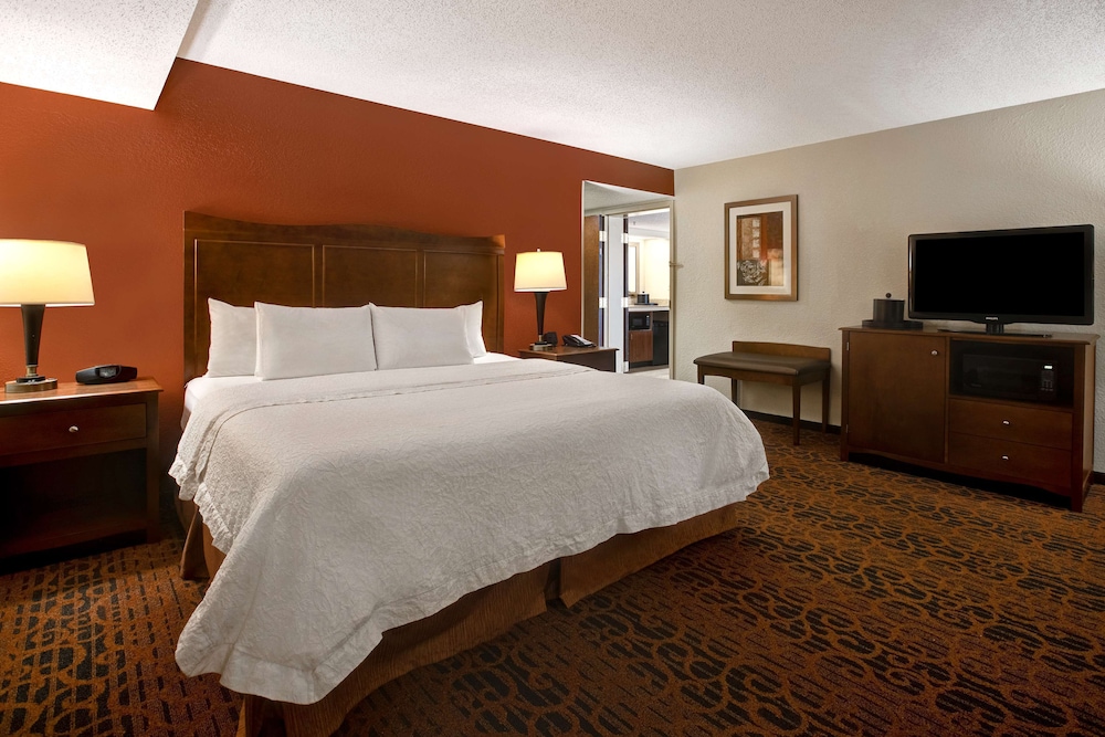 Room, 1 King Bed, Accessible, Refrigerator & Microwave (Bathtub) - Photo 2