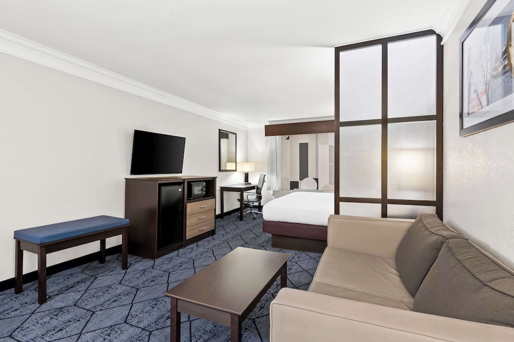 Suite, 1 King Bed, Non Smoking, Refrigerator & Microwave (with Sofabed) - Photo 5