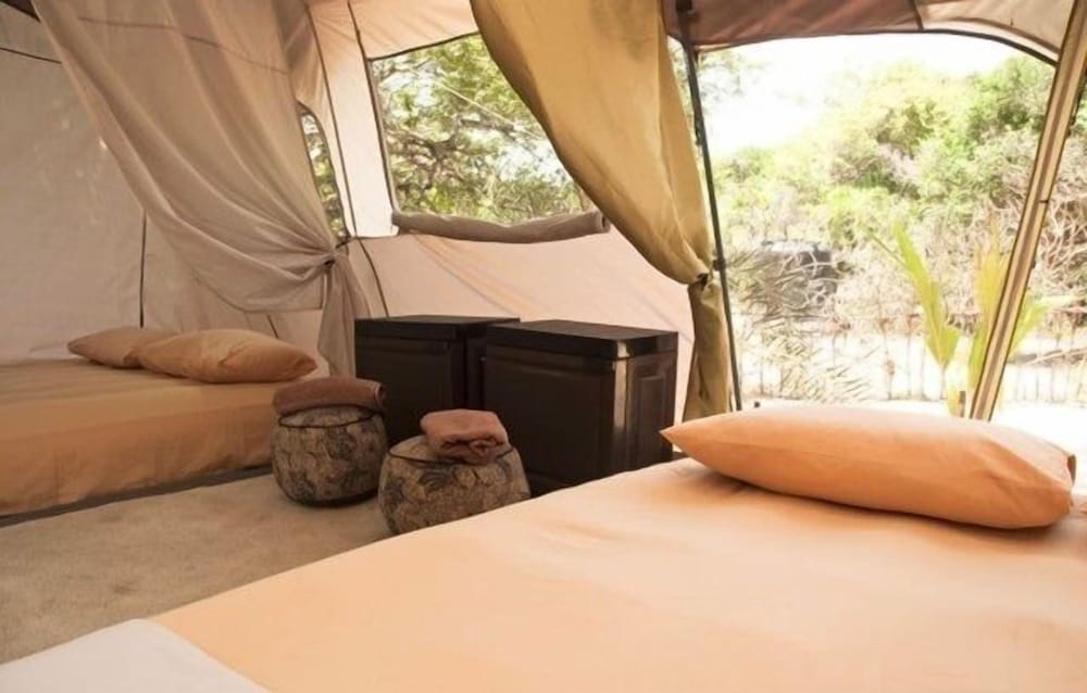 Standard Tent photo 1