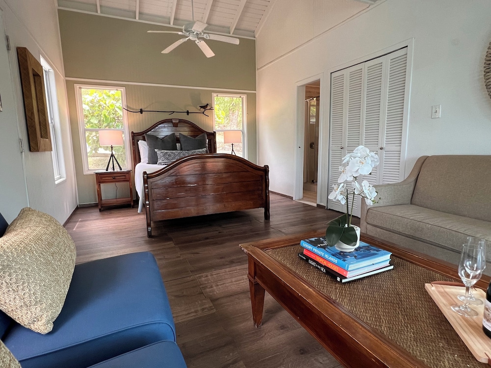 Deluxe Villa, 1 Queen Bed with Sofa bed, Ocean View photo 3