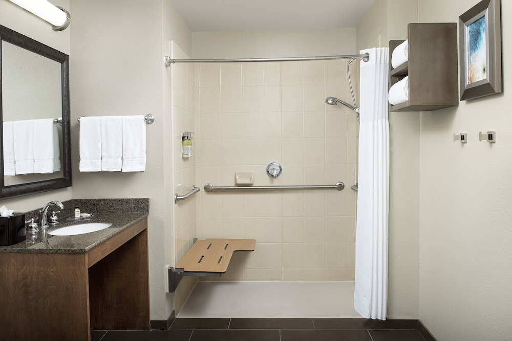 Suite, 1 Bedroom, Accessible, Kitchen (Transfer Shower) - Photo 3