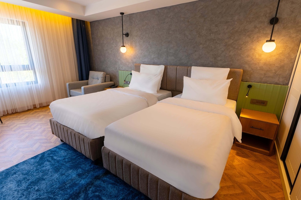 Deluxe Double or Twin Room photo 2