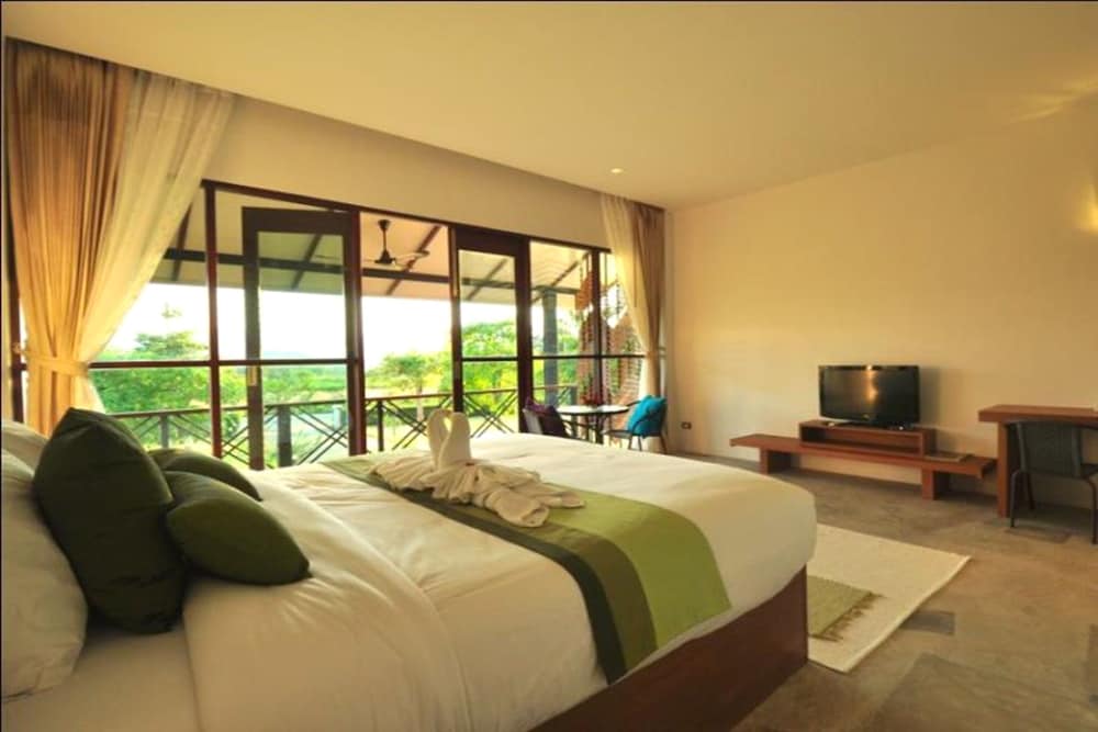 Deluxe Double Room photo 3