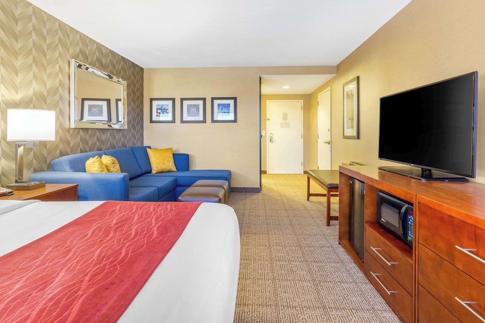 Suite - Photo 8