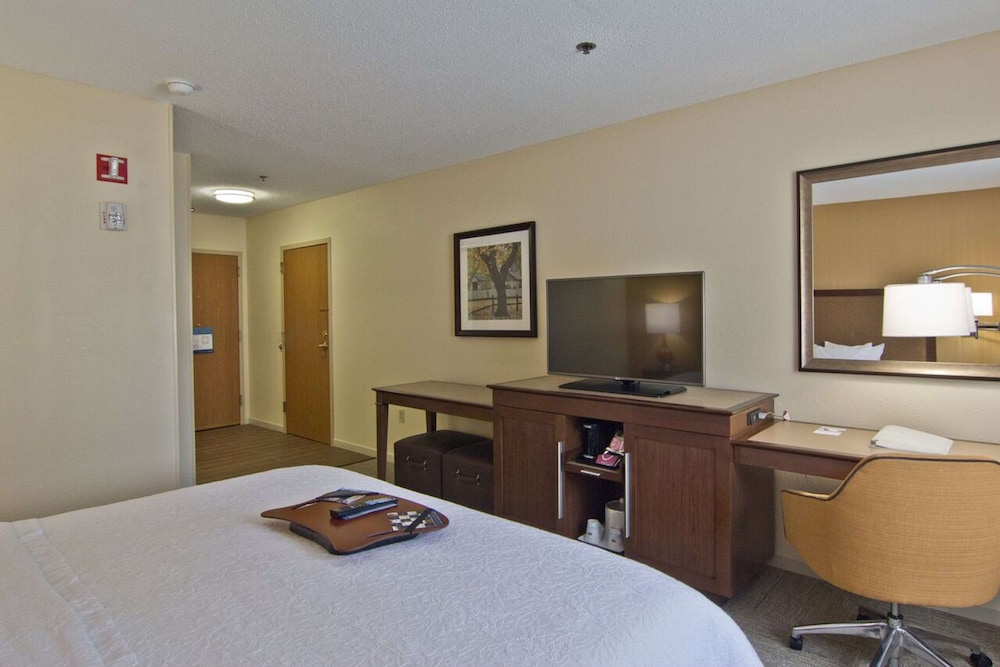Room, 1 King Bed, Accessible (Roll-in Shower) photo 2