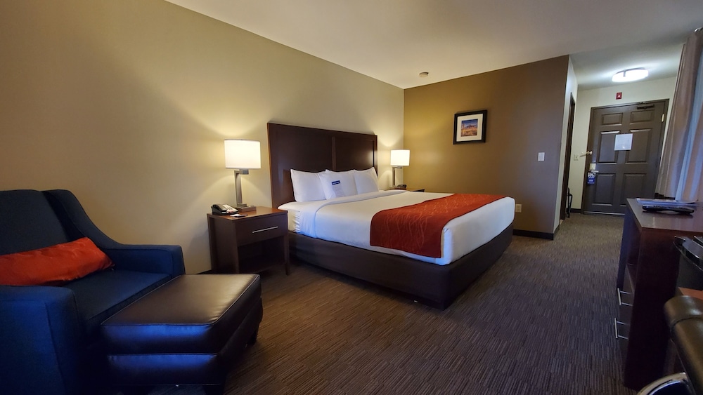 Standard Room, 1 King Bed, Non Smoking photo 3