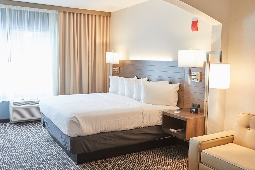 Business Studio, 1 King Bed
