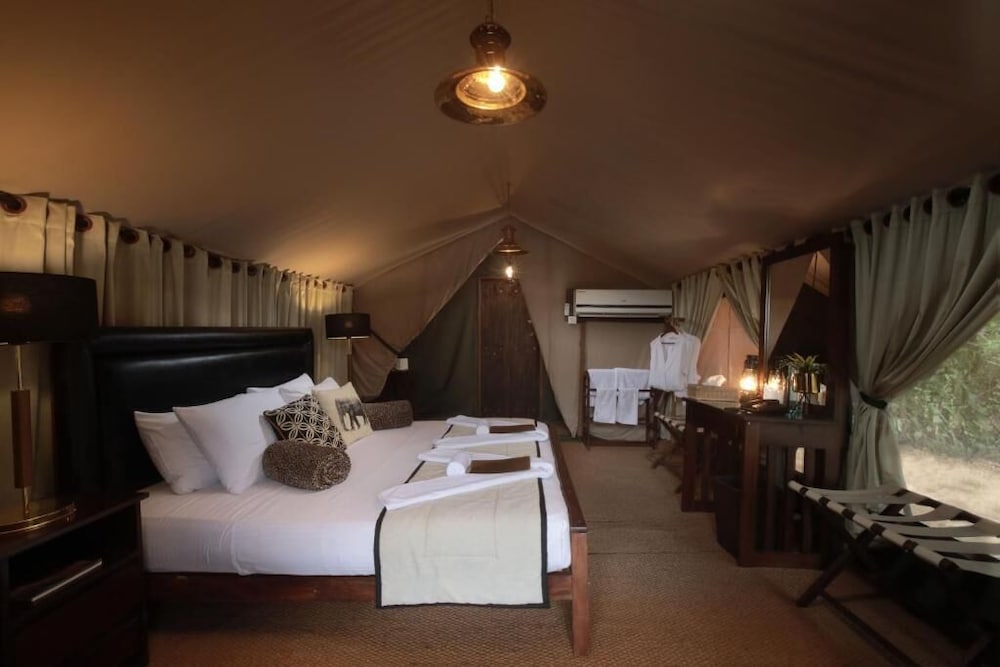 Deluxe Tent photo 1