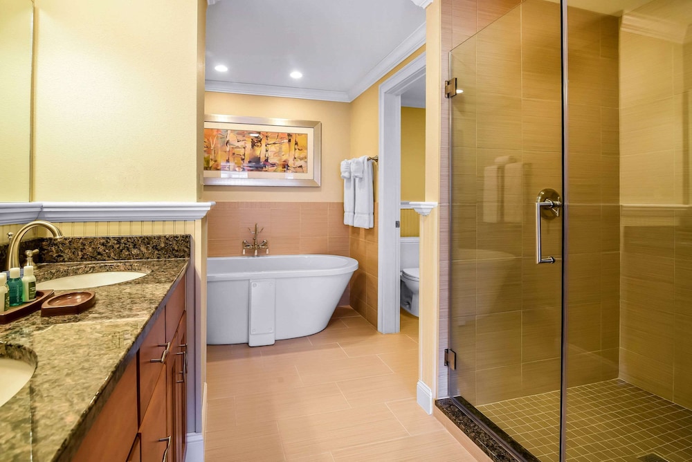 Suite, 1 Bedroom photo 3