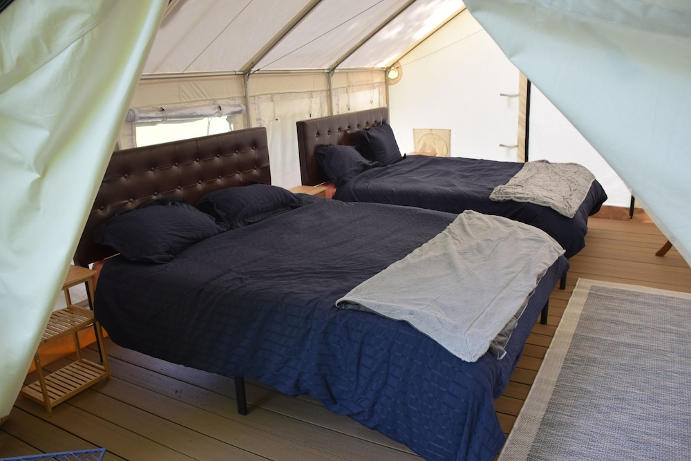 Luxury Tent, 2 Queen Beds photo 3
