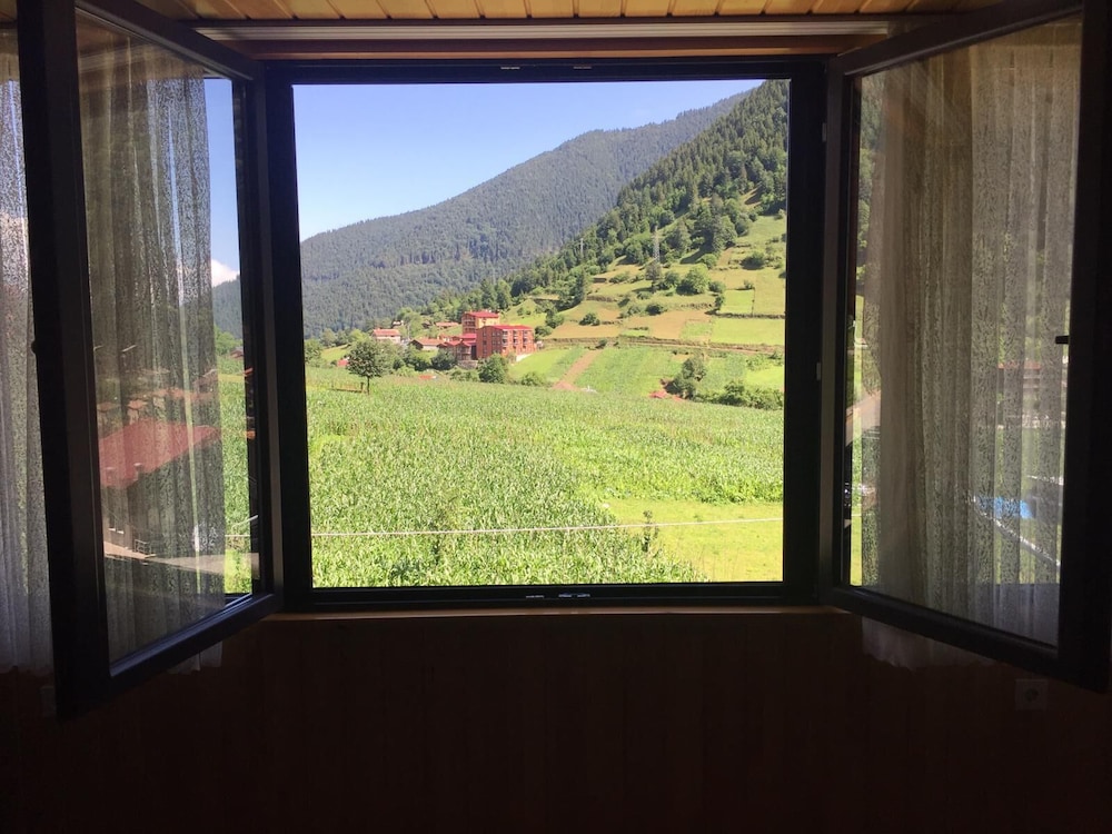 Family Apartment, 4 Bedrooms, Kitchen, Mountain View photo 2