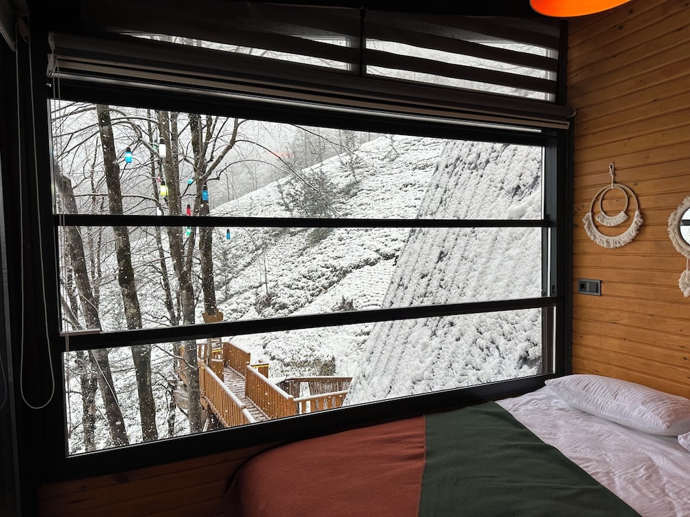 Premium Double or Twin Room photo 3