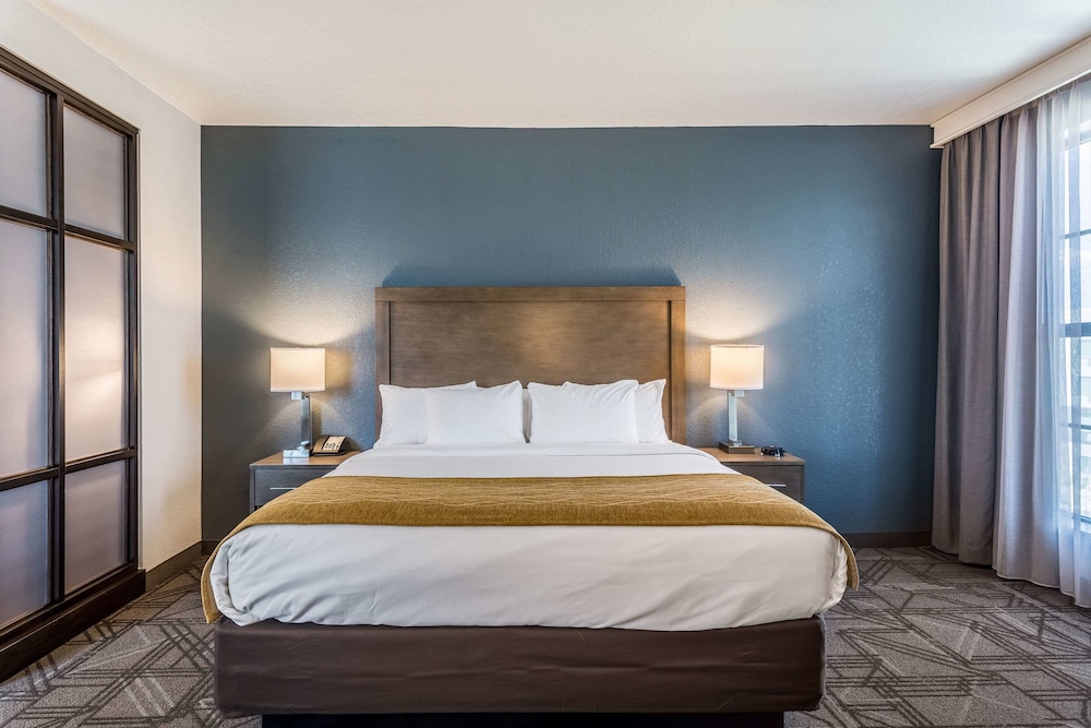 Suite, 1 King Bed with Sofa bed, Accessible, Non Smoking photo 2