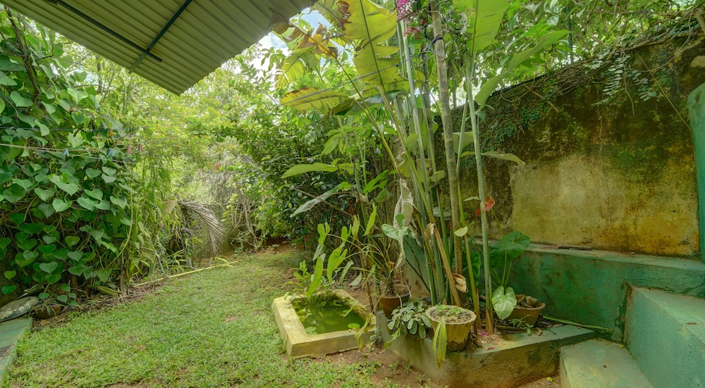 Family Quadruple Room, 2 Double Beds, Non Smoking, Garden Area photo 3