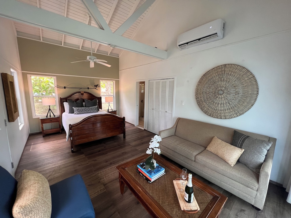 Deluxe Villa, 1 Queen Bed with Sofa bed, Ocean View photo 2