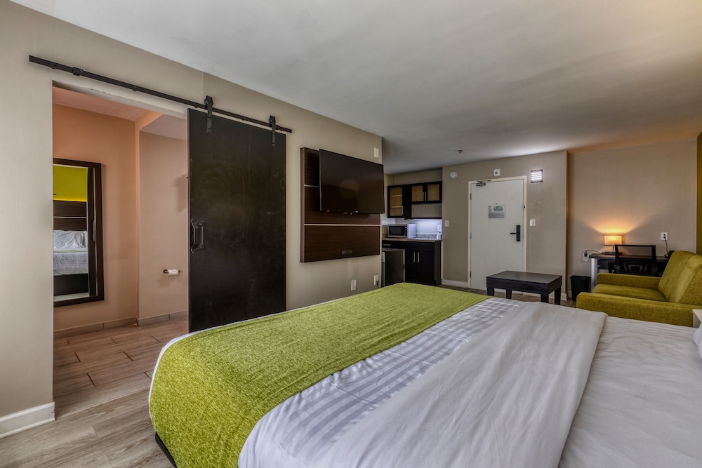 Studio, 1 King Bed with Sofa bed, Non Smoking, Refrigerator & Microwave - Photo 10