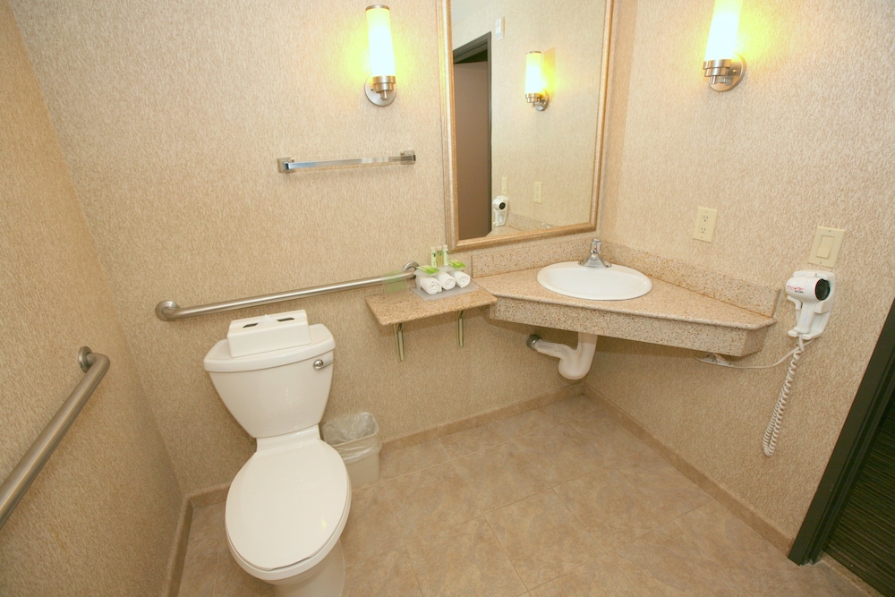 Standard Room, 1 King Bed, Accessible (Mobility, Comm, Roll Shwr) - Photo 1