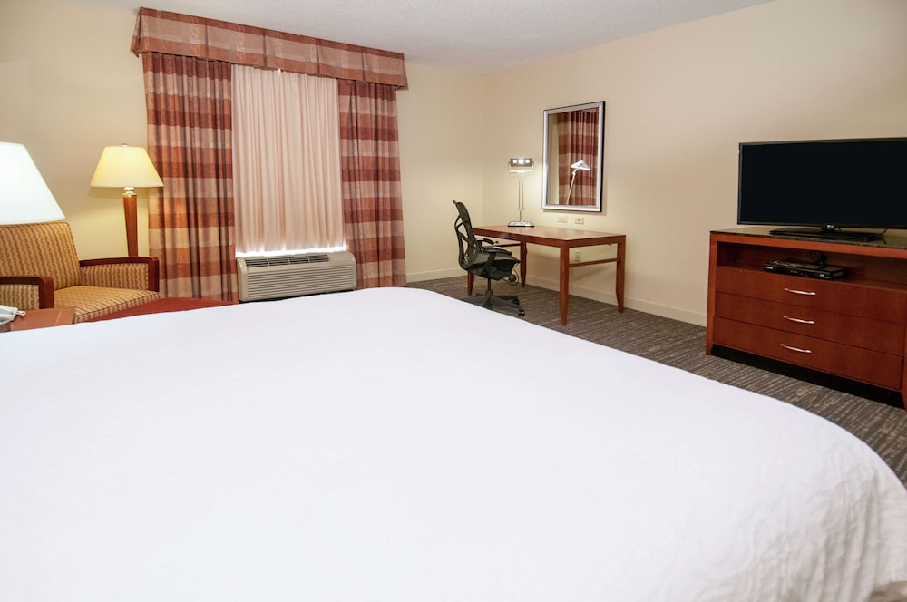 Room, 1 King Bed, Accessible - Photo 1