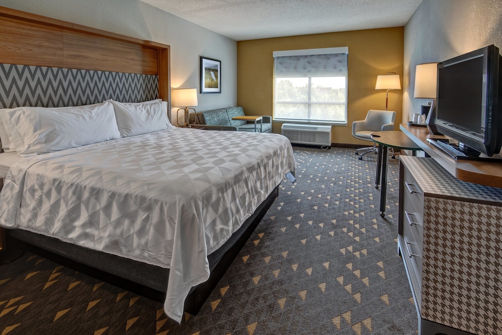Standard Room, 1 King Bed, Accessible (Mobility Access Tub) - Photo 1