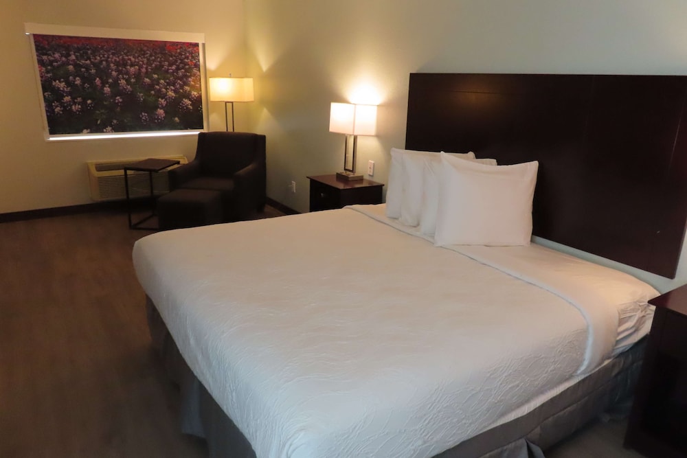 Standard Room, 1 King Bed, Accessible, Refrigerator & Microwave (Walk-in Shower) - Photo 1