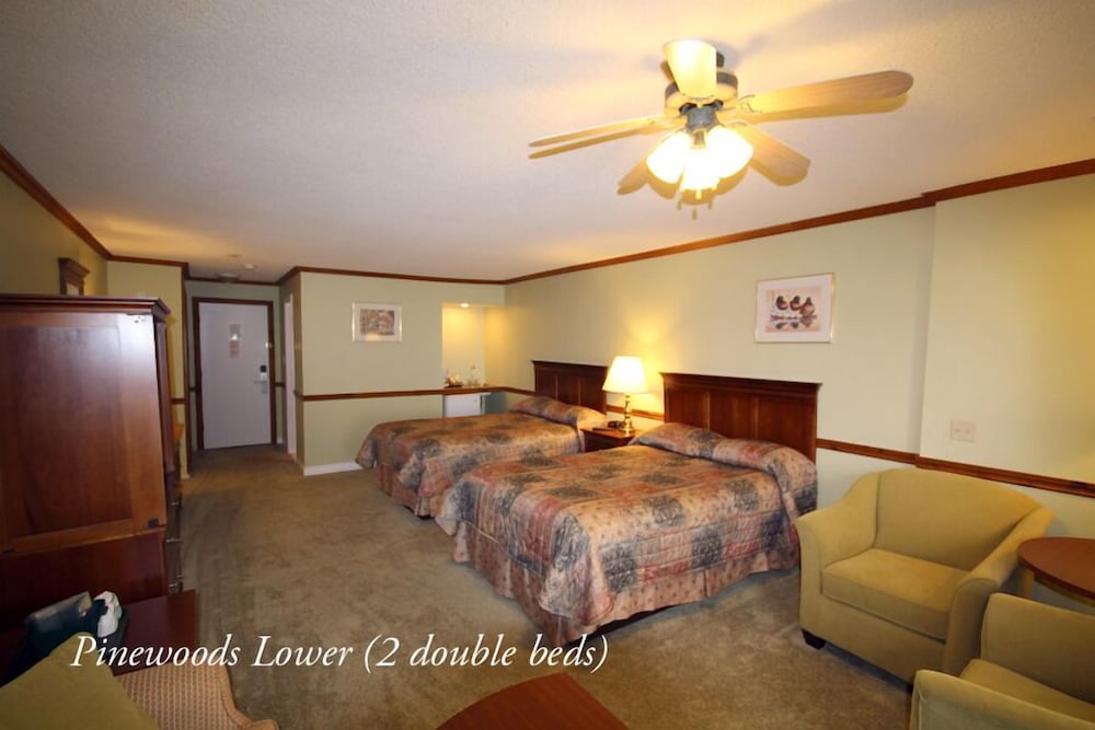 Deluxe Room, Multiple Beds (River Front) photo 2