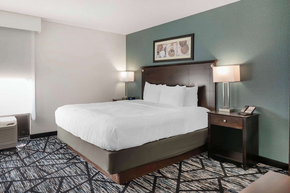 Standard Room, 1 King Bed, Accessible, Non Smoking (Walk-in Shower;with Sofabed) - Photo 4