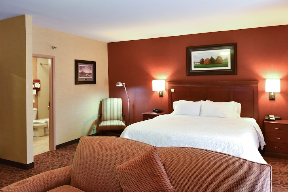 Suite, 1 King Bed, Non Smoking photo 2