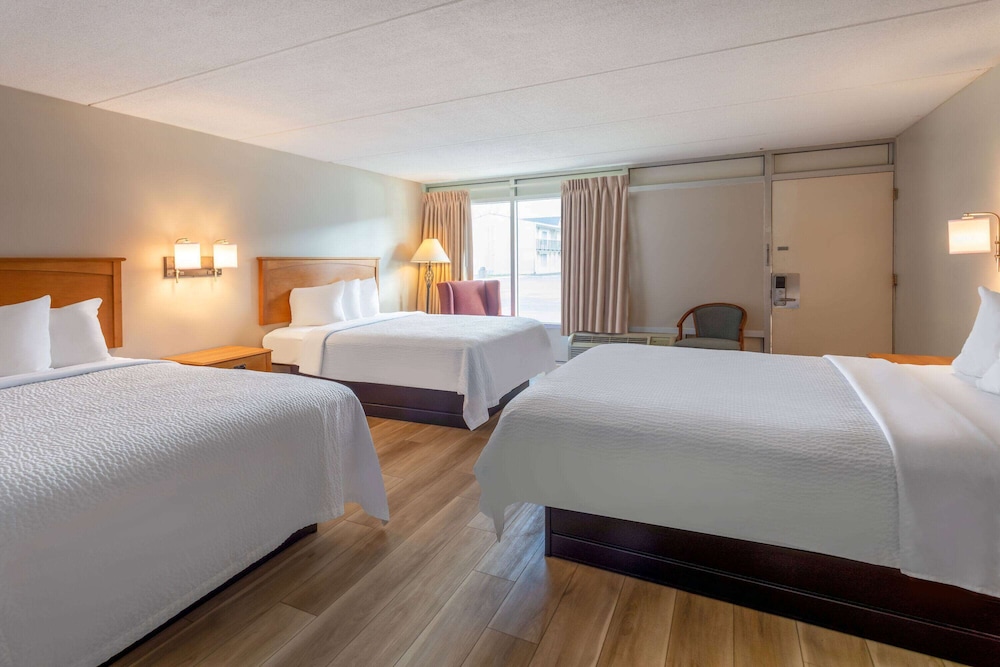 Room, Multiple Beds, Non Smoking photo 1