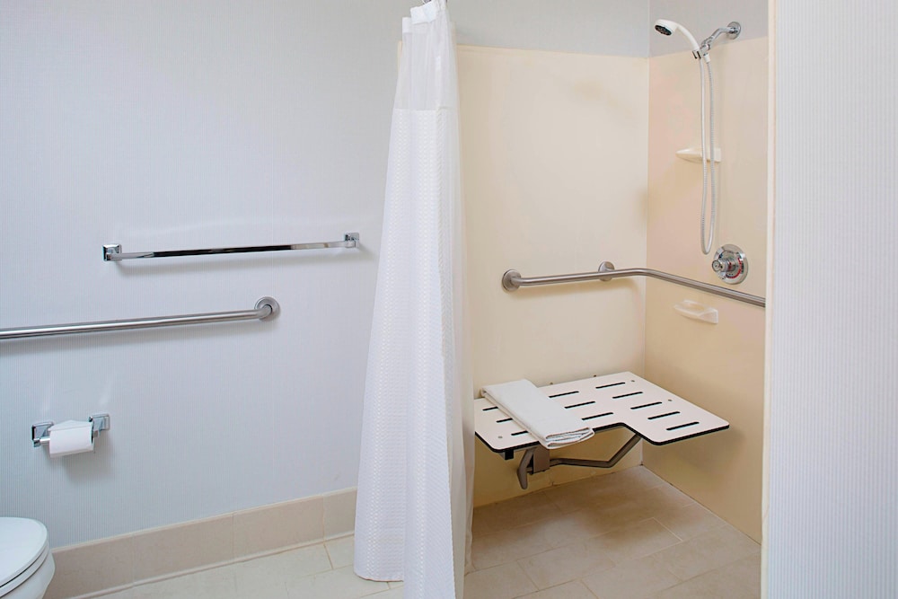 Room, 1 King Bed with Sofa bed (Mobility/Hearing Access, Roll-In Shwr) photo 1