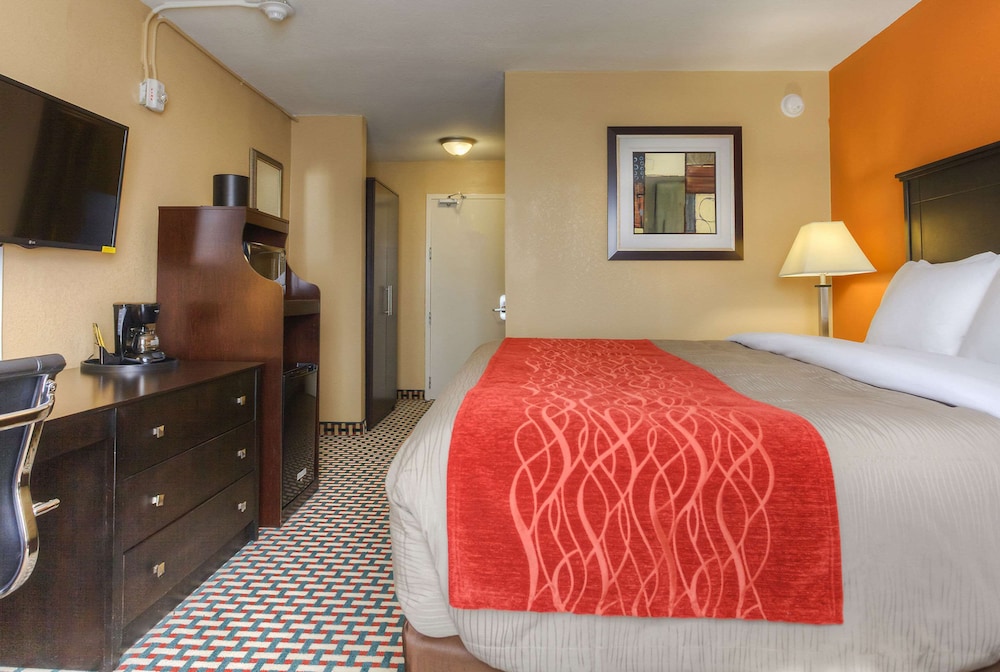 Standard Room, 1 King Bed, Non Smoking (Accessible Tub) photo 2