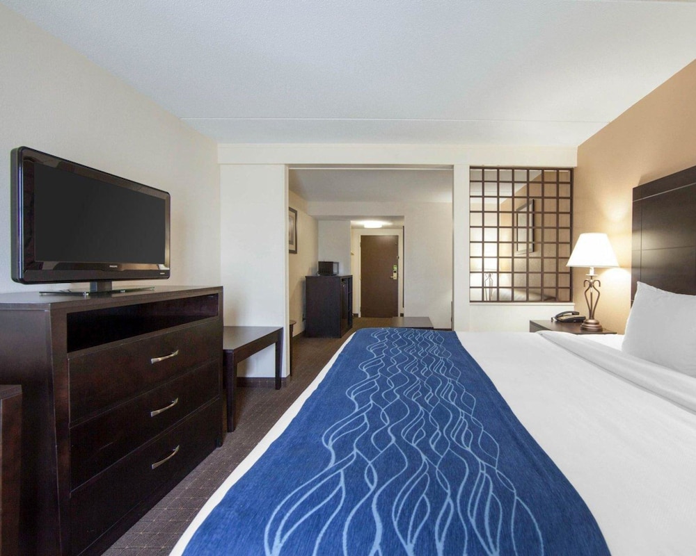 Suite, 1 King Bed with Sofa bed, Non Smoking - Photo 5
