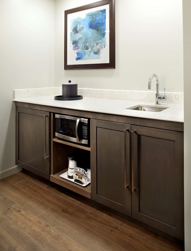 1 king micro/fridge/wet bar studio suite photo 3