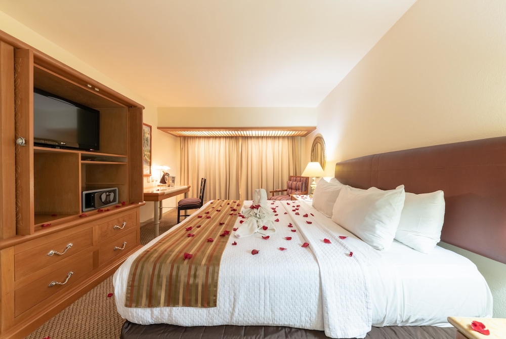 Room, 1 King Bed (Hab Lunamielera) photo 1