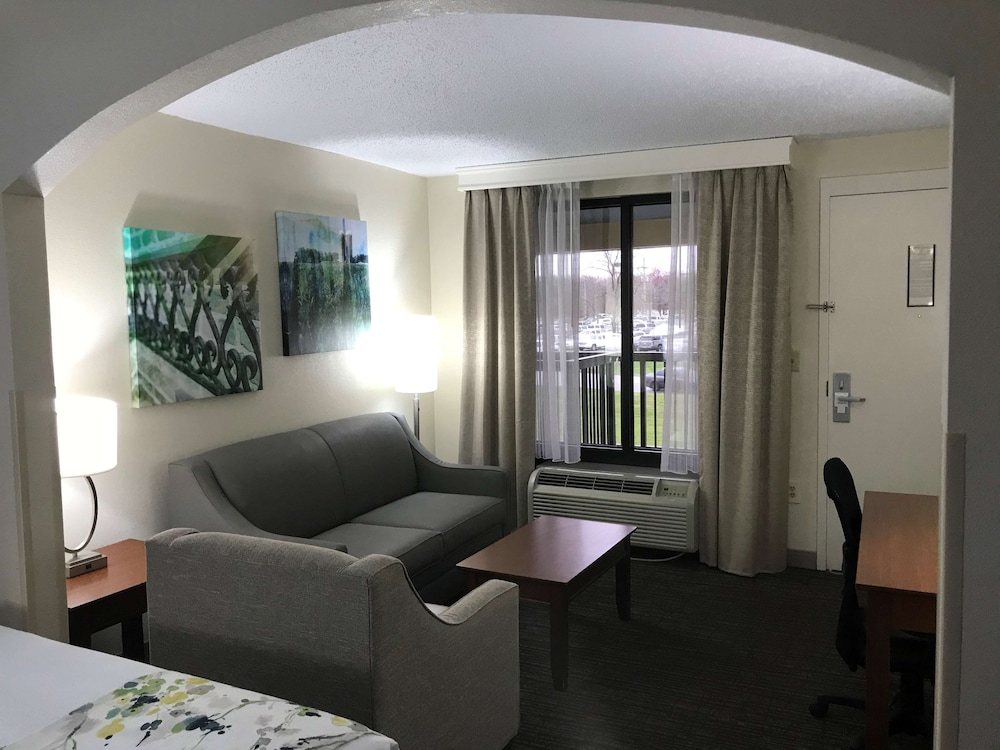 Suite, 1 King Bed, Non Smoking, Jetted Tub (with Sofabed)