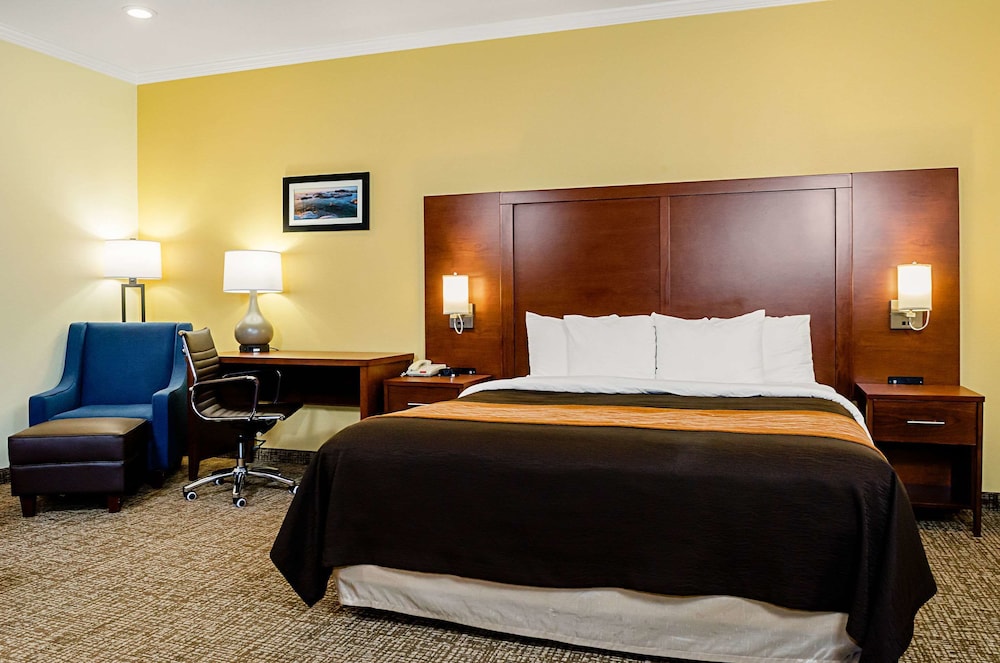 Suite, 1 King Bed, Non Smoking - Photo 4