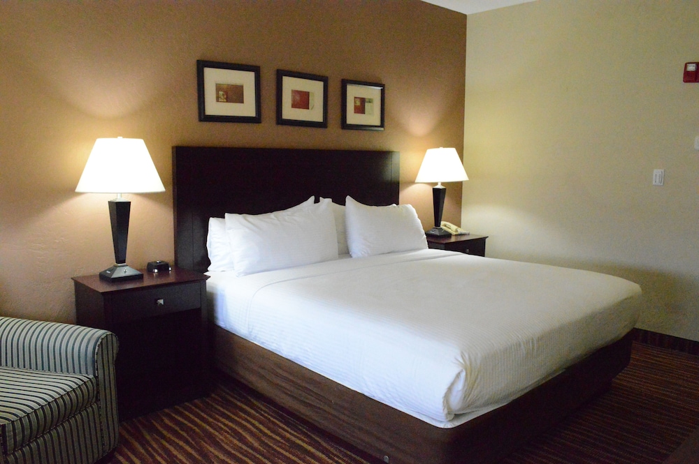 Standard Single Room - Photo 1