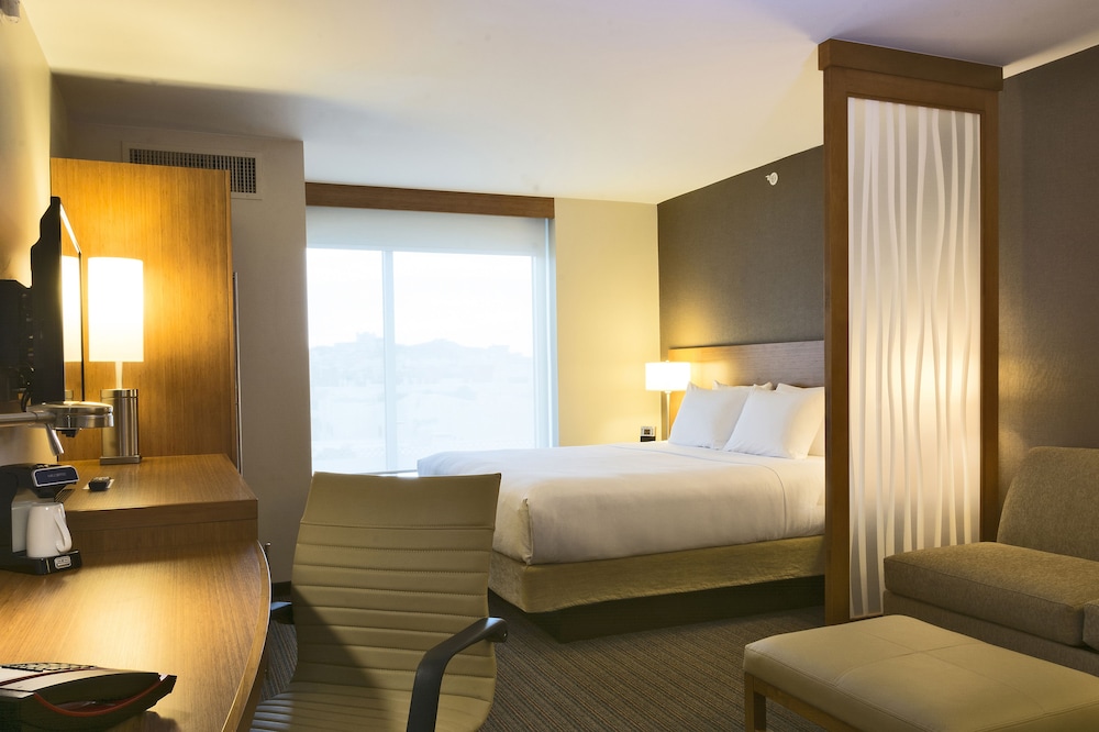 Standard Room, 1 King Bed With Sofa Bed