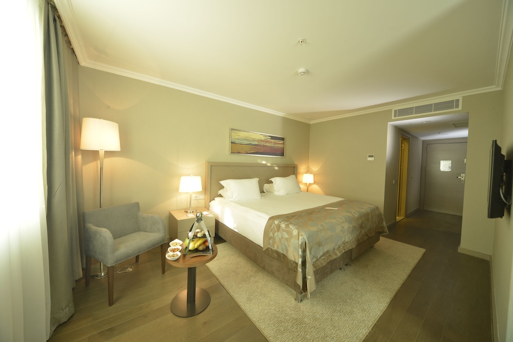 Standard Double Room photo 2