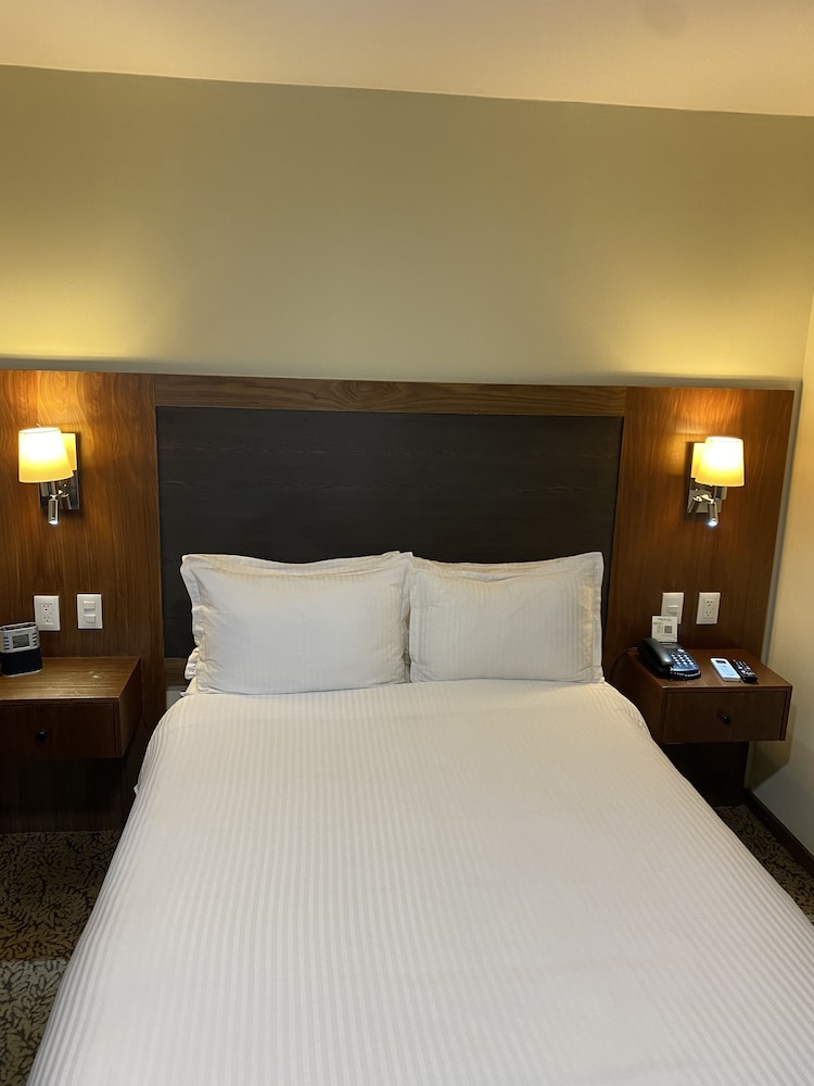 Suite, 1 Queen Bed, Non Smoking photo 1