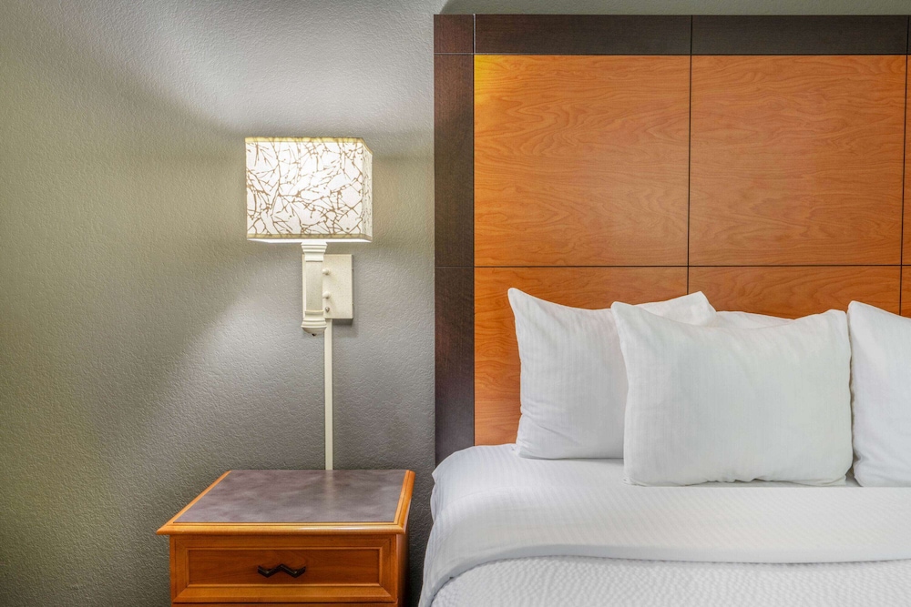 Deluxe Suite, 1 King Bed, Non Smoking - Photo 3