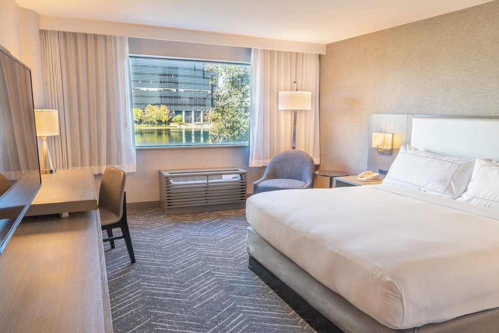 Suite, 1 Bedroom, Mobility Accessible, Lake View photo 1