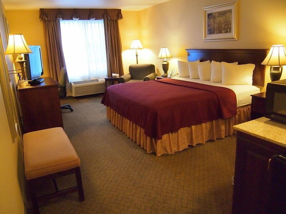 Business Suite, 1 King Bed, Non Smoking, Refrigerator & Microwave photo 2