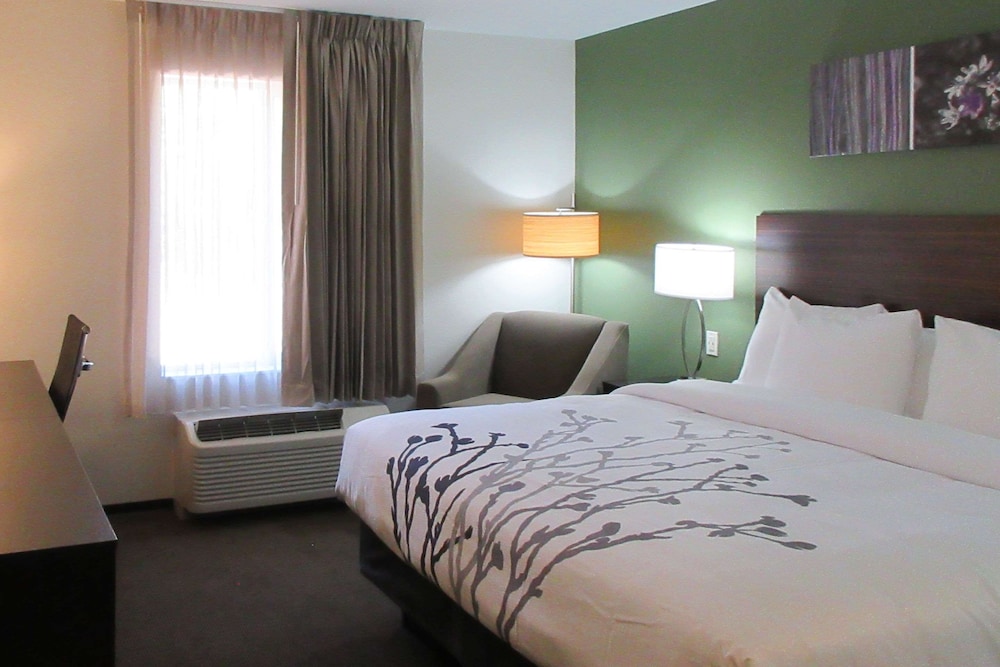 Room, 1 King Bed, Accessible, Non Smoking - Photo 2