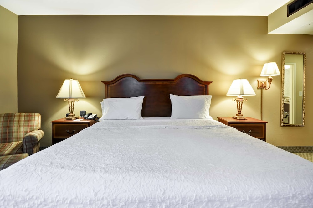 Room, 1 King Bed