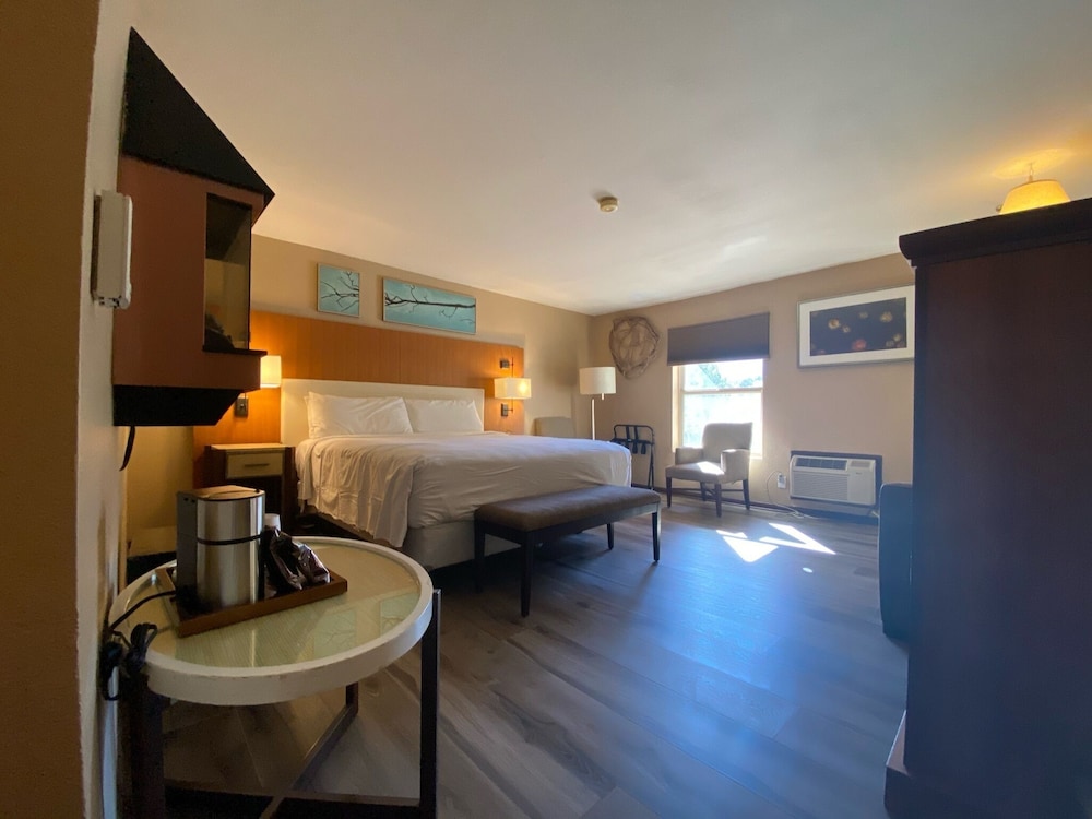 Junior Suite - Photo 4