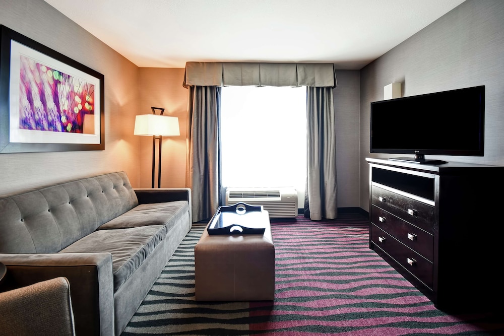 Suite, 1 King Bed, Accessible, Non Smoking photo 3